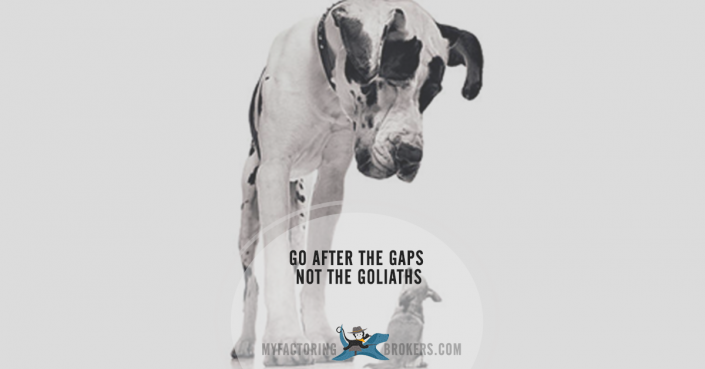 In a Competitive Marketplace Go After the Gaps Not the Goliaths