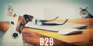 B2B business invoice factoring